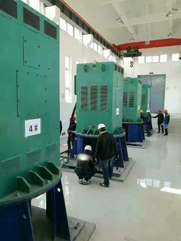 Y450-2某污水处理厂使用我厂的立式高压电机安装现场安装尺寸